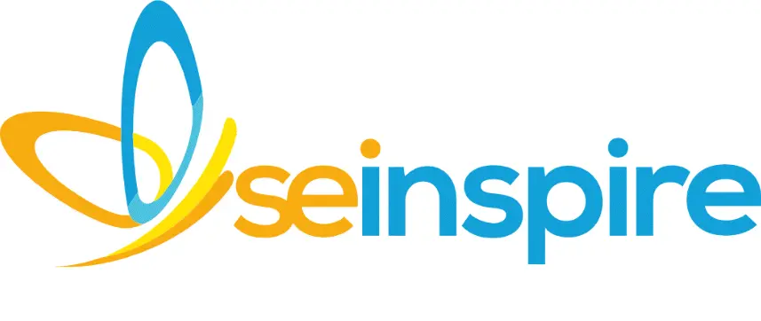SEINSPIRE EDUCACAO E SERVICOS EM INFORMATICA LTDA